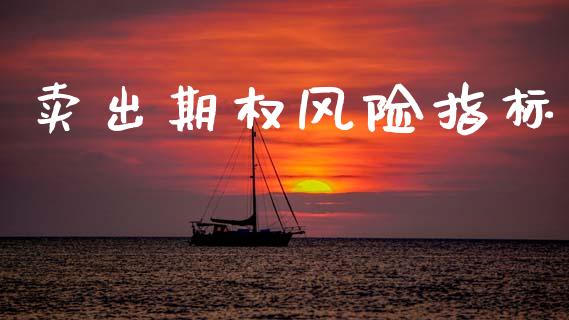 卖出期权风险指标_https://wap.yjjixie.cn_证券市场_第1张