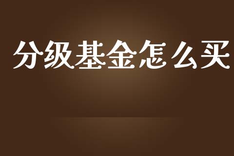 分级基金怎么买_https://wap.yjjixie.cn_证券市场_第1张