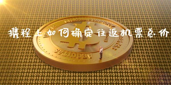 携程上如何确定往返机票总价_https://wap.yjjixie.cn_保险理财_第1张