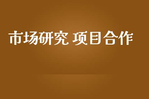 市场研究 项目合作_https://wap.yjjixie.cn_港股行情_第1张