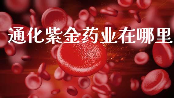 通化紫金药业在哪里_https://wap.yjjixie.cn_保险理财_第1张