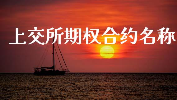 上交所期权合约名称_https://wap.yjjixie.cn_证券市场_第1张