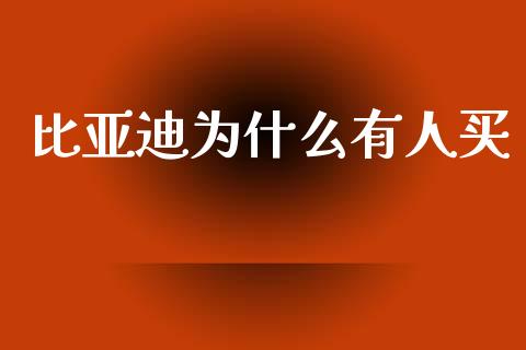 比亚迪为什么有人买_https://wap.yjjixie.cn_保险理财_第1张