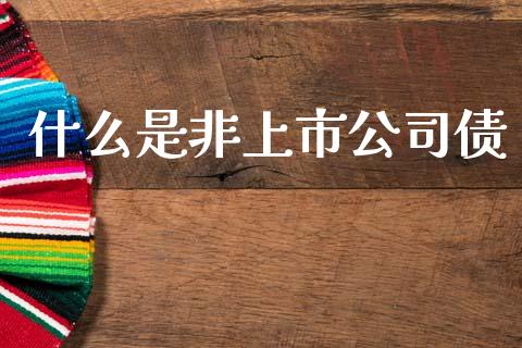 什么是非上市公司债_https://wap.yjjixie.cn_商业资讯_第1张