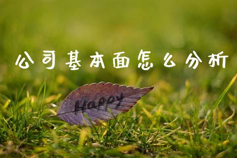 公司基本面怎么分析_https://wap.yjjixie.cn_港股行情_第1张