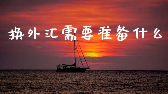 换外汇需要准备什么_https://wap.yjjixie.cn_证券市场_第1张