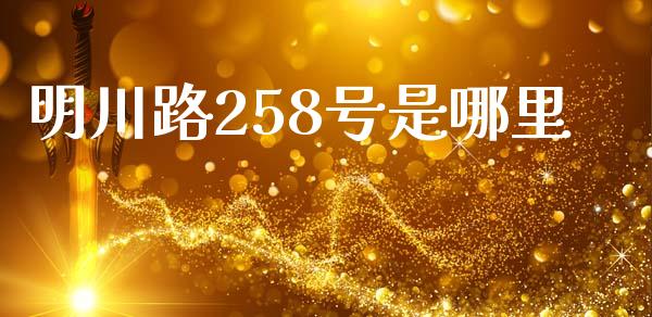明川路258号是哪里_https://wap.yjjixie.cn_保险理财_第1张