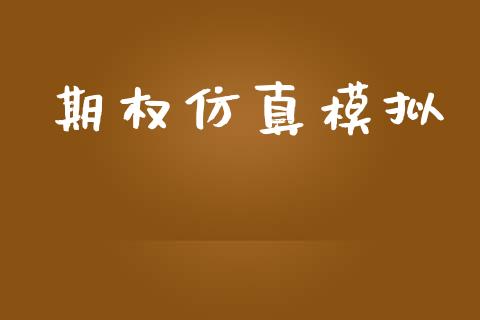 期权仿真模拟_https://wap.yjjixie.cn_证券市场_第1张