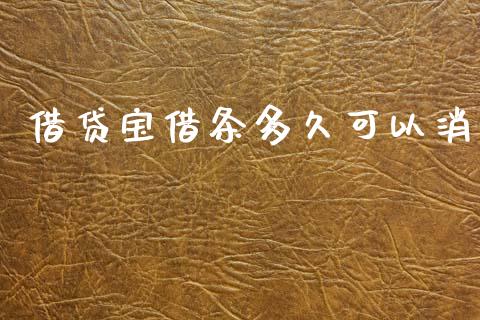 借贷宝借条多久可以消_https://wap.yjjixie.cn_商业资讯_第1张
