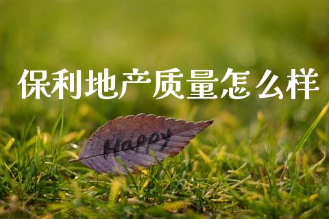 保利地产质量怎么样_https://wap.yjjixie.cn_商业资讯_第1张