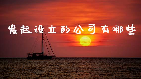 发起设立的公司有哪些_https://wap.yjjixie.cn_证券市场_第1张