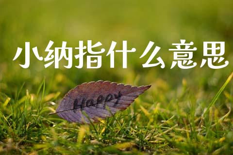 小纳指什么意思_https://wap.yjjixie.cn_证券市场_第1张