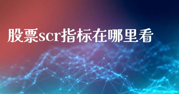 股票scr指标在哪里看_https://wap.yjjixie.cn_商业资讯_第1张