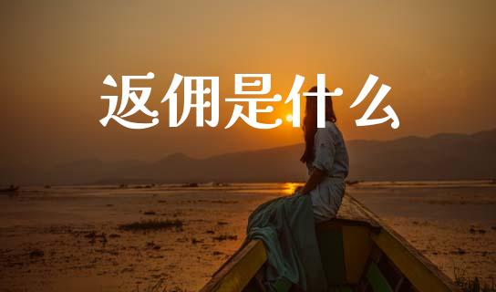 返佣是什么_https://wap.yjjixie.cn_保险理财_第1张