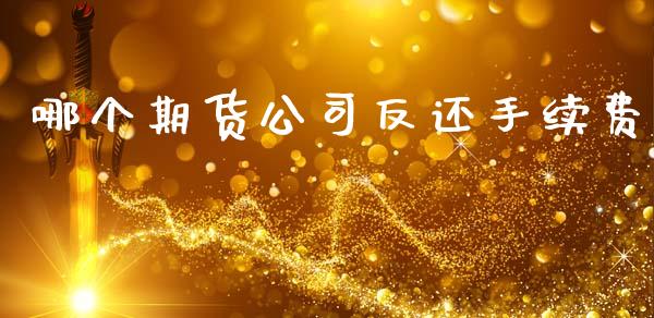 哪个期货公司反还手续费_https://wap.yjjixie.cn_保险理财_第1张