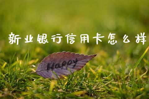 新业银行信用卡怎么样_https://wap.yjjixie.cn_证券市场_第1张