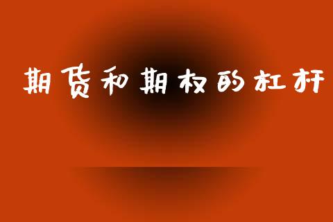期货和期权的杠杆_https://wap.yjjixie.cn_保险理财_第1张