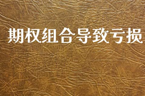 期权组合导致亏损_https://wap.yjjixie.cn_保险理财_第1张
