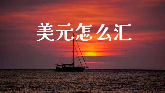 美元怎么汇_https://wap.yjjixie.cn_证券市场_第1张
