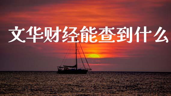 文华财经能查到什么_https://wap.yjjixie.cn_证券市场_第1张