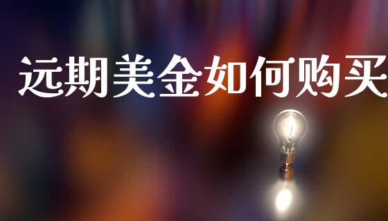 远期美金如何购买_https://wap.yjjixie.cn_港股行情_第1张