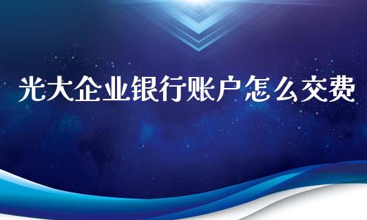 光大企业银行账户怎么交费_https://wap.yjjixie.cn_港股行情_第1张