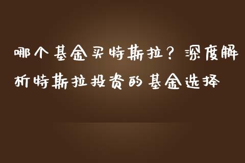 哪个基金买特斯拉？深度解析特斯拉投资的基金选择_https://wap.yjjixie.cn_港股行情_第1张