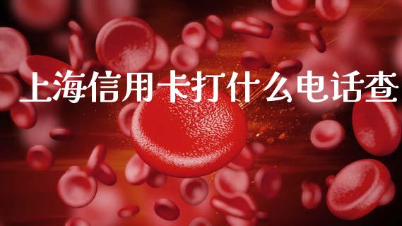 上海信用卡打什么电话查_https://wap.yjjixie.cn_商业资讯_第1张
