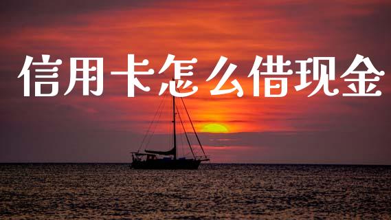 信用卡怎么借现金_https://wap.yjjixie.cn_保险理财_第1张