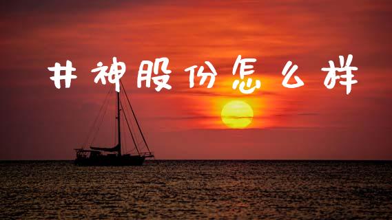 井神股份怎么样_https://wap.yjjixie.cn_商业资讯_第1张