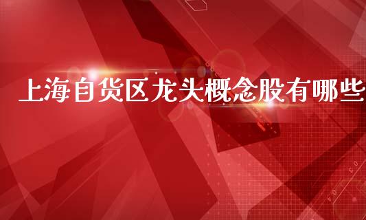 上海自货区龙头概念股有哪些_https://wap.yjjixie.cn_保险理财_第1张