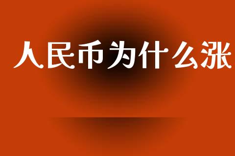 人民币为什么涨_https://wap.yjjixie.cn_证券市场_第1张