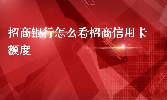 招商银行怎么看招商信用卡额度_https://wap.yjjixie.cn_保险理财_第1张
