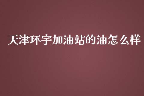 天津环宇加油站的油怎么样_https://wap.yjjixie.cn_港股行情_第1张