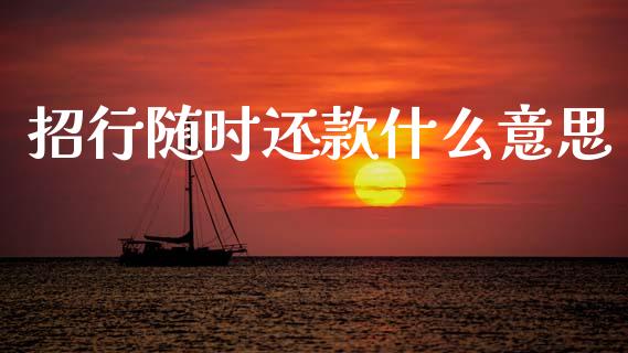 招行随时还款什么意思_https://wap.yjjixie.cn_港股行情_第1张