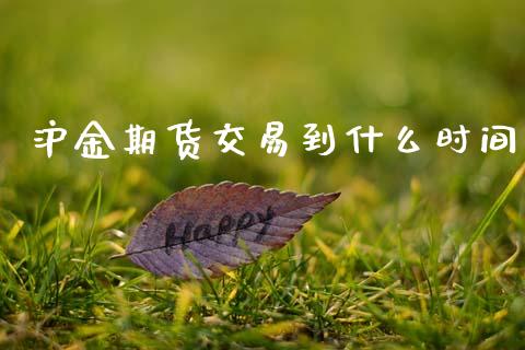 沪金期货交易到什么时间_https://wap.yjjixie.cn_保险理财_第1张