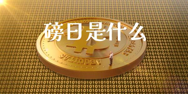 磅日是什么_https://wap.yjjixie.cn_保险理财_第1张