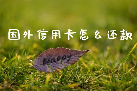 国外信用卡怎么还款_https://wap.yjjixie.cn_保险理财_第1张