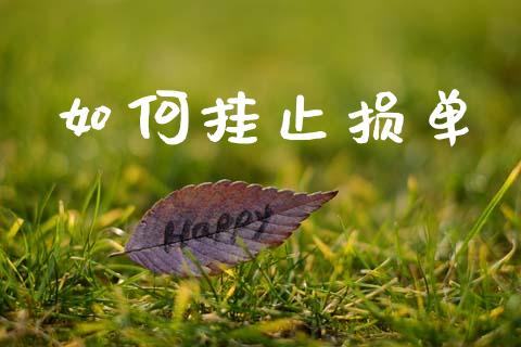 如何挂止损单_https://wap.yjjixie.cn_保险理财_第1张
