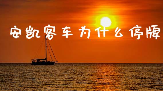 安凯客车为什么停牌_https://wap.yjjixie.cn_商业资讯_第1张