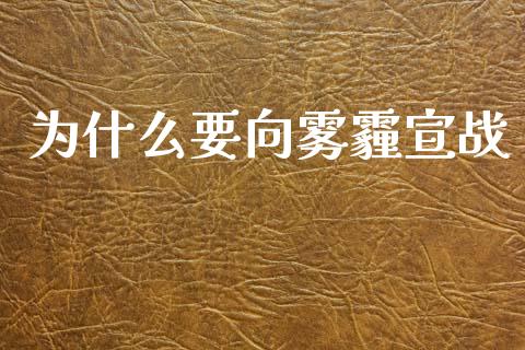 为什么要向雾霾宣战_https://wap.yjjixie.cn_保险理财_第1张