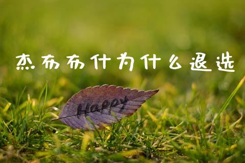 杰布布什为什么退选_https://wap.yjjixie.cn_证券市场_第1张