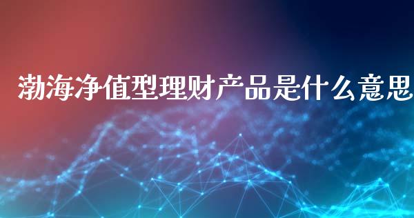 渤海净值型理财产品是什么意思_https://wap.yjjixie.cn_港股行情_第1张