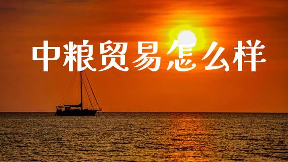 中粮贸易怎么样_https://wap.yjjixie.cn_商业资讯_第1张
