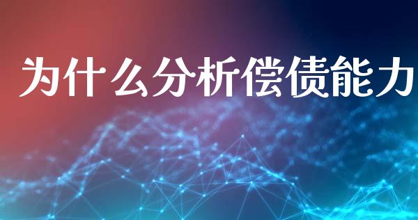 为什么分析偿债能力_https://wap.yjjixie.cn_保险理财_第1张