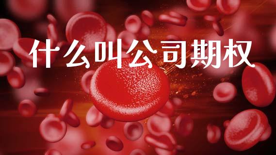 什么叫公司期权_https://wap.yjjixie.cn_保险理财_第1张
