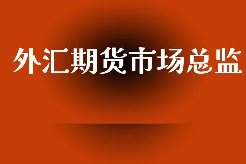 外汇期货市场总监_https://wap.yjjixie.cn_证券市场_第1张