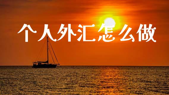 个人外汇怎么做_https://wap.yjjixie.cn_证券市场_第1张