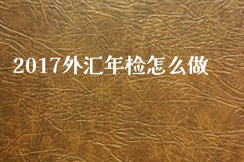 2017外汇年检怎么做_https://wap.yjjixie.cn_证券市场_第1张