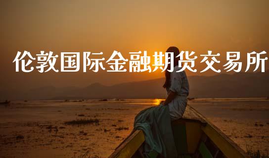 伦敦国际金融期货交易所_https://wap.yjjixie.cn_港股行情_第1张